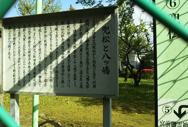 兜松