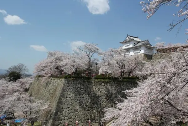 津山城（鶴山公園）