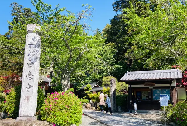 白毫寺の写真・動画_image_1339399