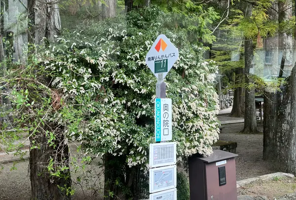 奥の院口バス停