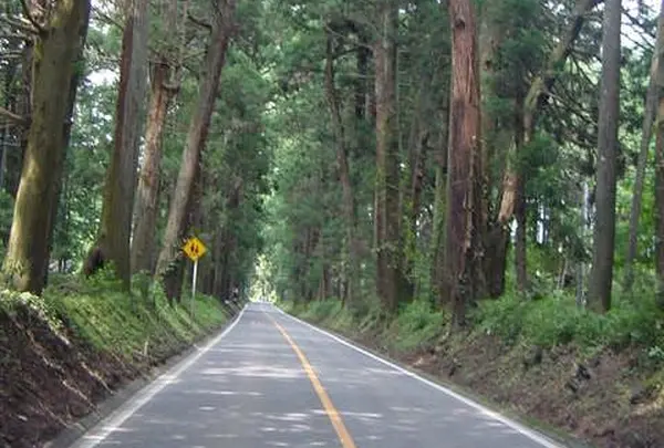例幣使街道