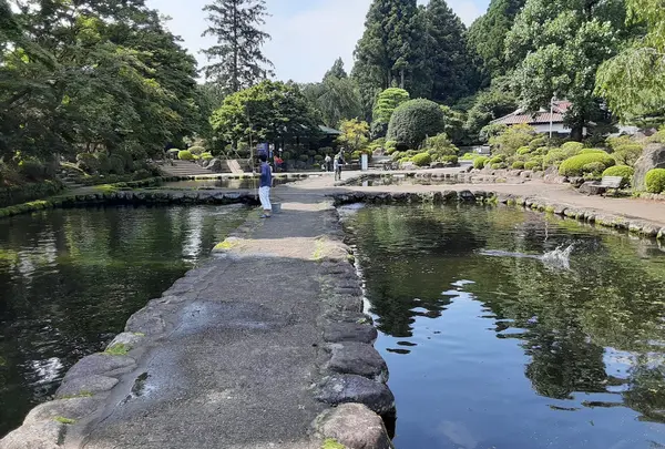 林'養魚場 ますつり公園