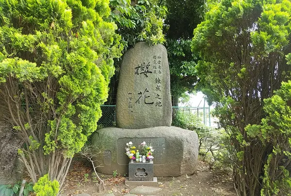 櫻花公園
