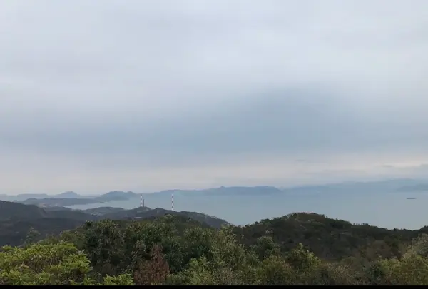 王子が岳の写真・動画_image_1356230