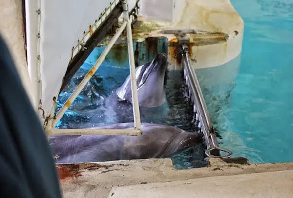 おたる水族館