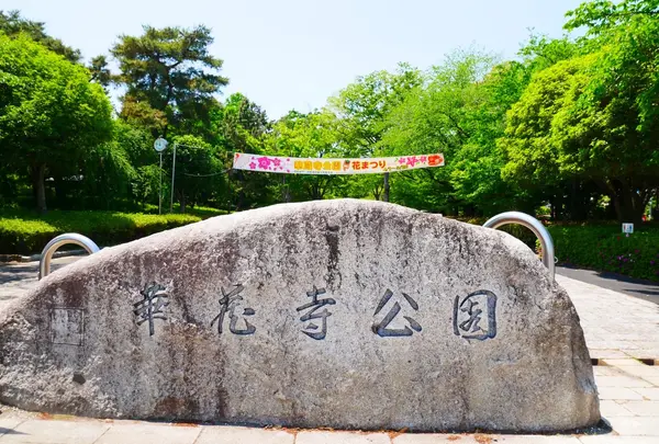華蔵寺公園の写真・動画_image_1358846