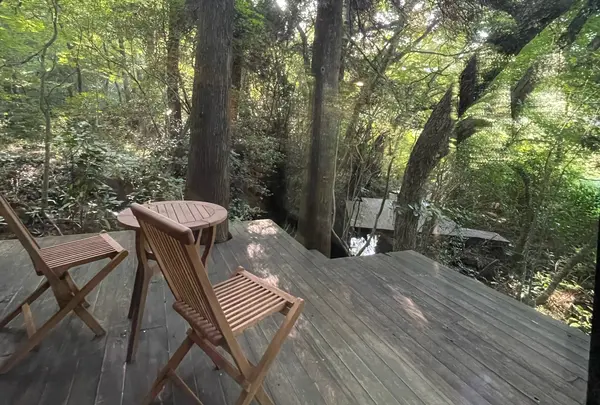 はなれの宿千の森の写真・動画_image_1359997