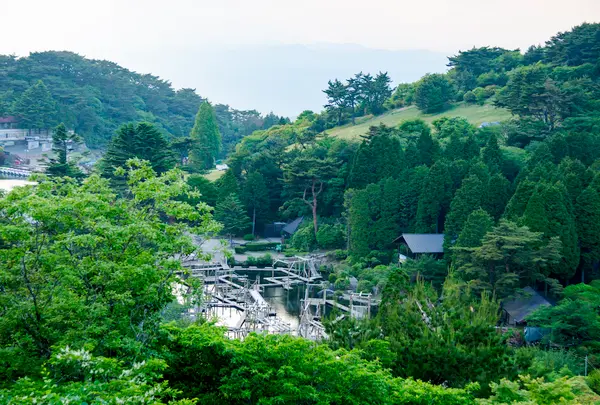 六甲山アスレチックパークGREENIAの写真・動画_image_1360964