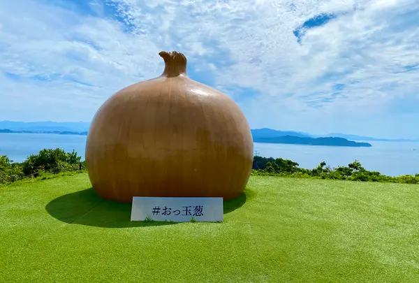 おっ玉葱の写真・動画_image_1360985