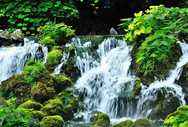 湧水の里