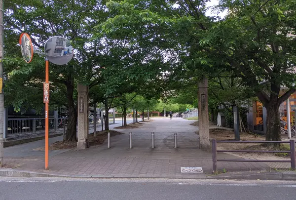 下石井公園の写真・動画_image_1366529