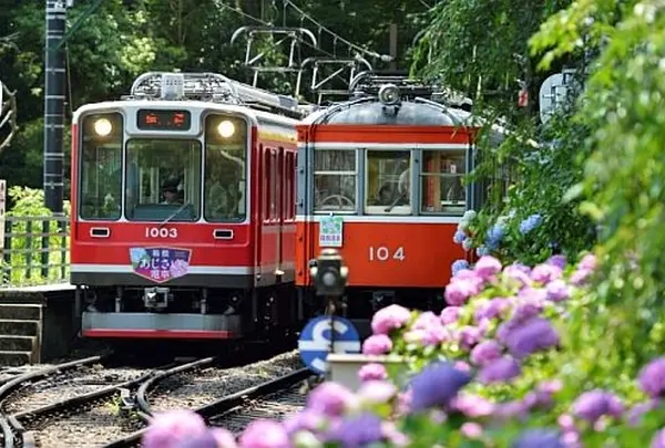 箱根登山鉄道沿線