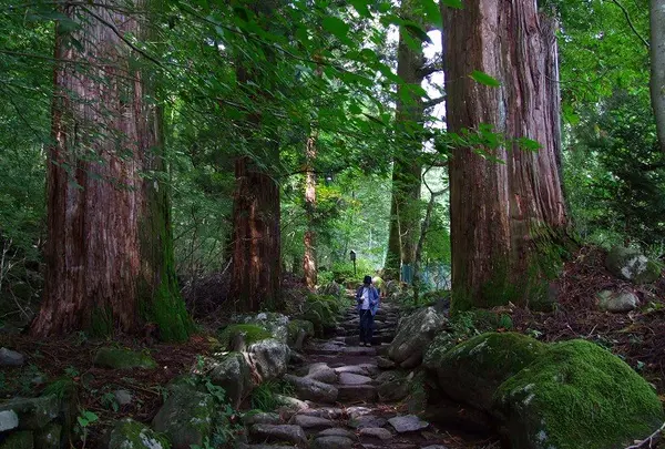 瀧尾神社の参道