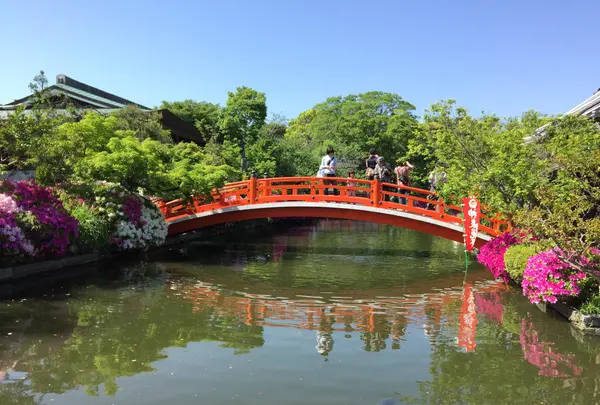 神泉苑の写真・動画_image_137656