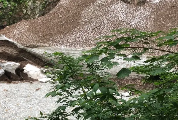 万年雪展望台
