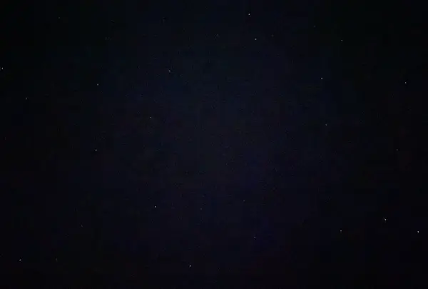 ウミホタル観察会会場