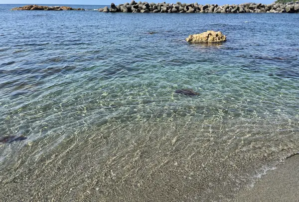 藻浦崎公園の写真・動画_image_1384549
