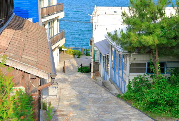 きらきら坂の写真・動画_image_1385063