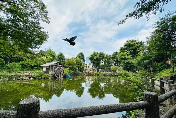 鍋島松濤公園の写真・動画_image_1386516