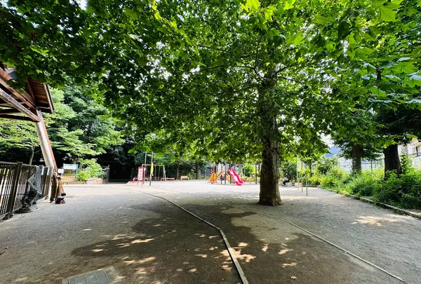 氷川の杜公園の写真・動画_image_1386625