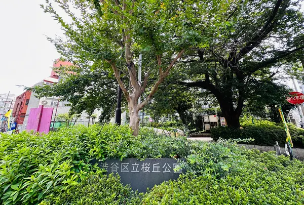 渋谷区立桜丘公園