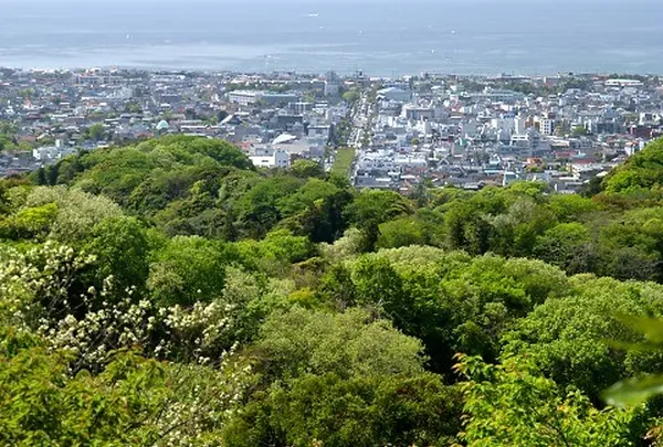 天園ハイキングコース