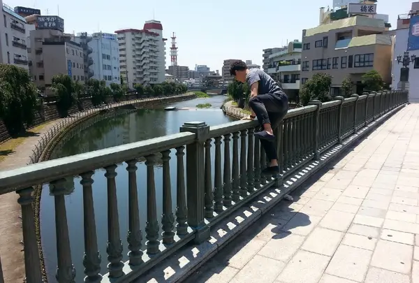田川の写真・動画_image_139842