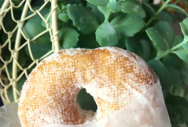 dough-doughnutsの写真・動画_image_139854