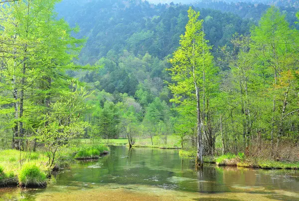 田代池＆田代湿原