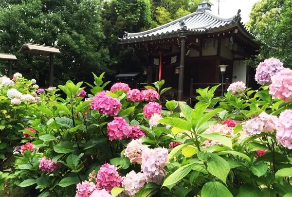 本堂は国宝です