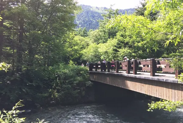 穂高橋・田代橋の写真・動画_image_140085