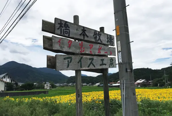 橋本牧場イタリアンジェラートアイス工房