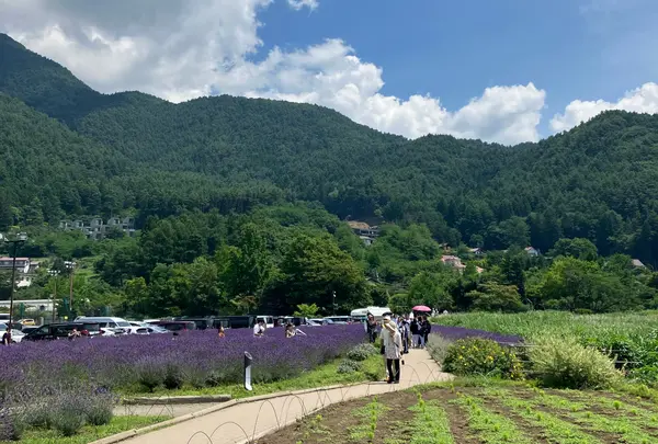 大石公園の写真・動画_image_1402681