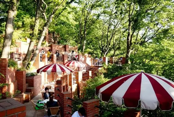 CafeTerrace樹ガーデン