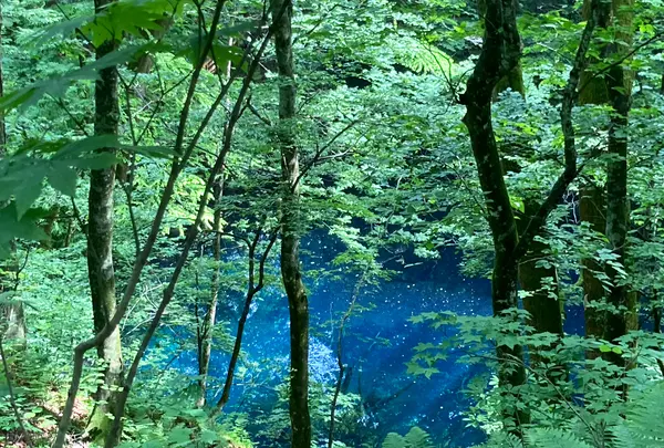青池