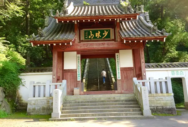 少林山達磨寺の写真・動画_image_140645