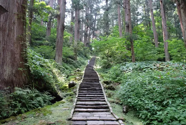 羽黒山の杉並木