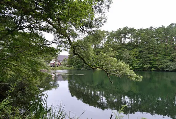 五色沼自然探勝路