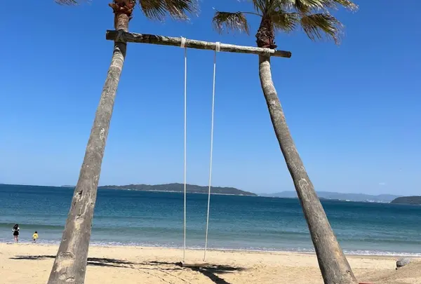 ヤシの木ブランコ