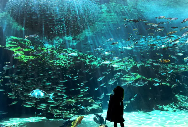 西海国立公園九十九島水族館（海きらら）