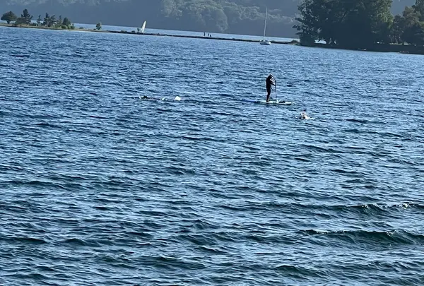洞爺湖カヌー体験ハウス