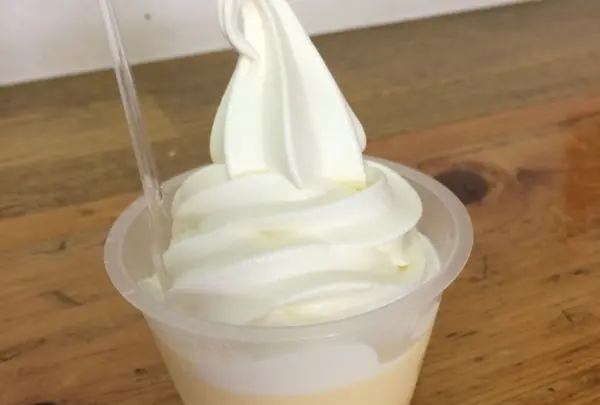 大観峰展望所