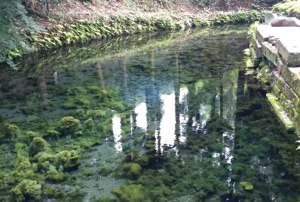 白川水源