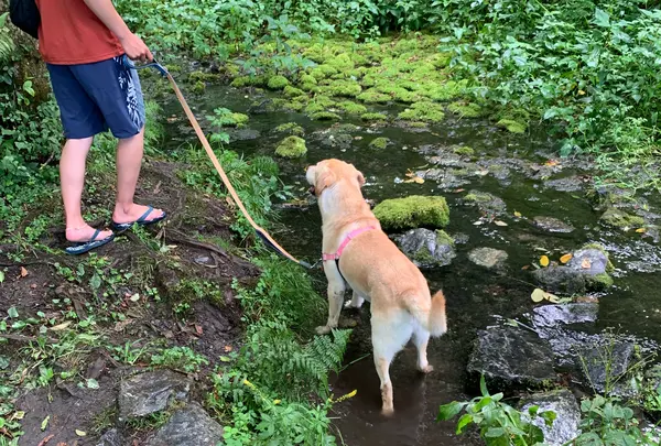 姫川源流自然探勝園