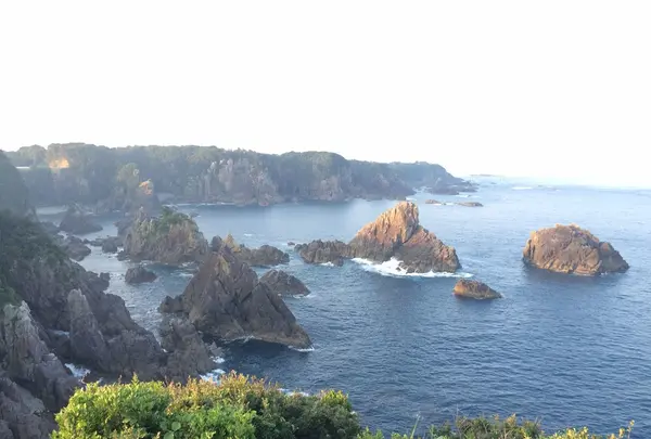海金剛
