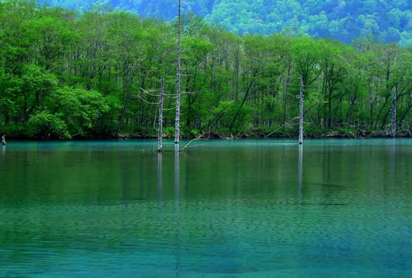 大正池