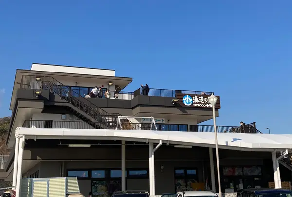 漁港の駅 TOTOCO小田原の写真・動画_image_1431746