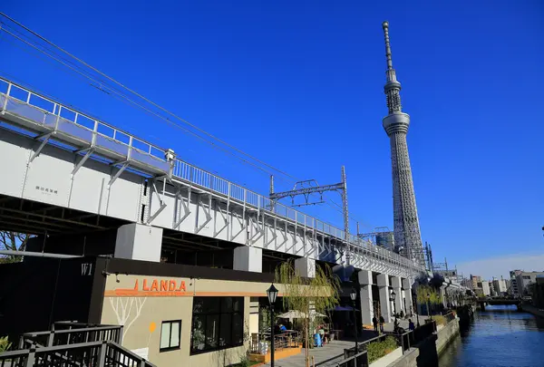 東京ミズマチの写真・動画_image_1433359