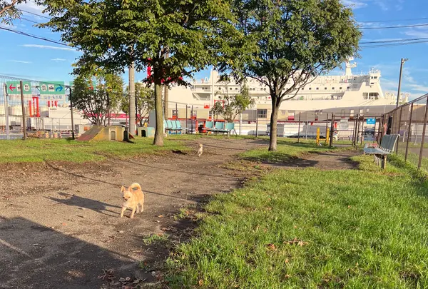 苫小牧フェリーターミナル