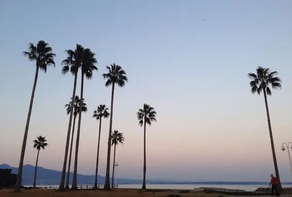 上人ヶ浜公園